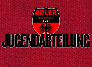 F-Jugend sammelt erste Hallenerfahrung